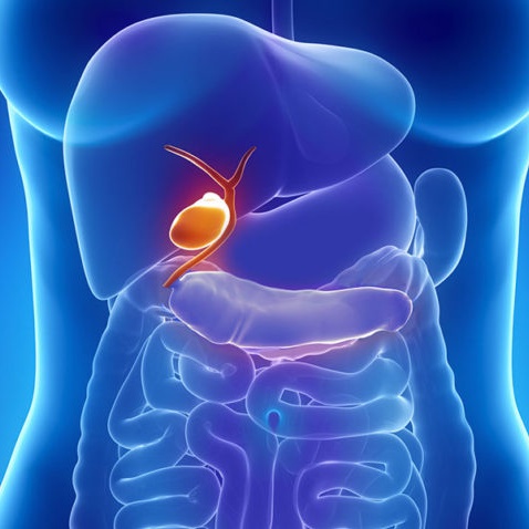 Cintilografia / SPECT